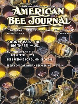 American Bee Journal Magazine Cover