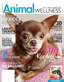 Animal Wellness Magazine Cover