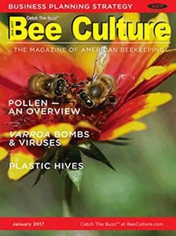 Bee Culture Magazine Cover