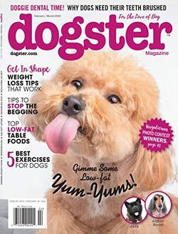 Dogster Magazine Cover