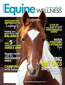 Equine Wellness Magazine Cover