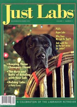 Just Labs Magazine Cover