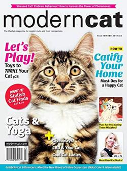Modern Cat Magazine Cover