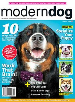 Modern Dog Magazine Cover