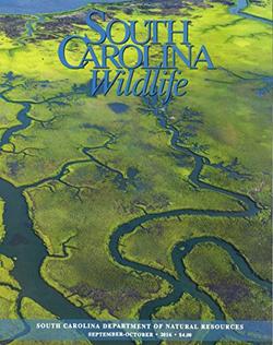 South Carolina Wildlife Magazine Cover