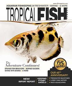 Tropical Fish Hobbyist Magazine Cover